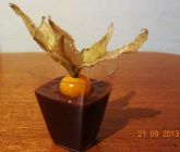 Brigadeiro de Phisalis