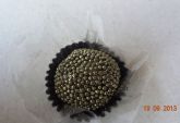 Brigadeiro de Café